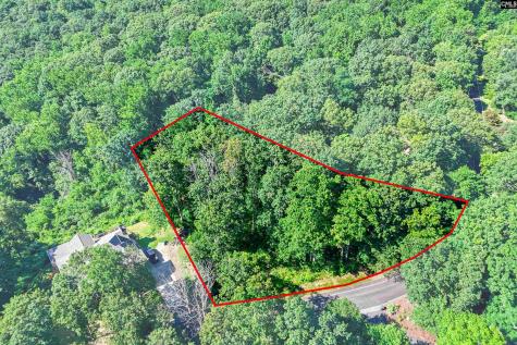 10 Northslope View Landrum SC 29356
