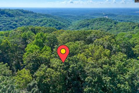 10 Northslope View Landrum SC 29356