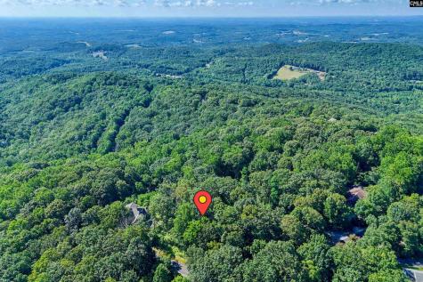 10 Northslope View Landrum SC 29356