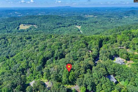 10 Northslope View Landrum SC 29356