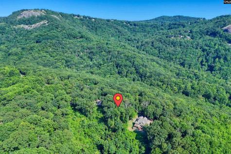 10 Northslope View Landrum SC 29356