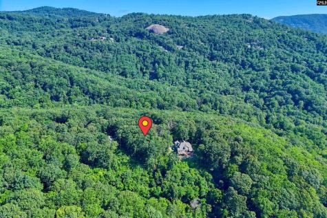 10 Northslope View Landrum SC 29356