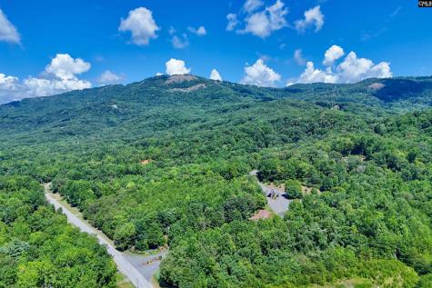 10 Northslope View Landrum SC 29356