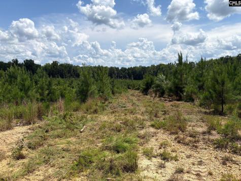Btf 4 Bradley Trail Jefferson SC 29067
