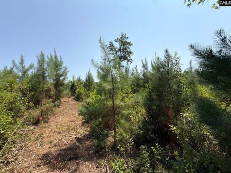 Btf 4 Bradley Trail Jefferson SC 29067