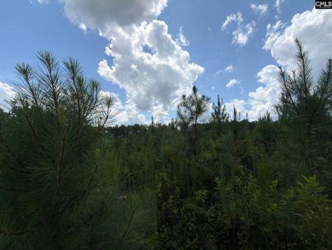 Btf 4 Bradley Trail Jefferson SC 29067