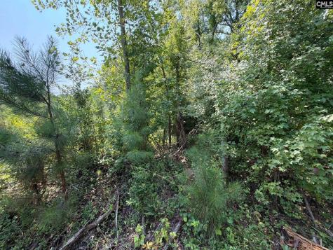 Btf 4 Bradley Trail Jefferson SC 29067