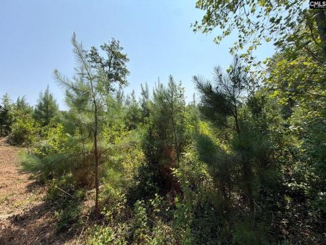 Btf 4 Bradley Trail Jefferson SC 29067
