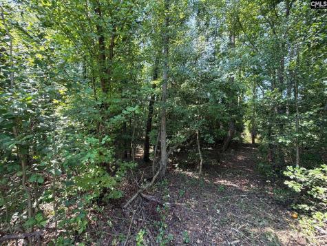 Btf 4 Bradley Trail Jefferson SC 29067