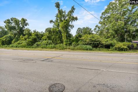 0 Charleston Highway Orangeburg SC 29115