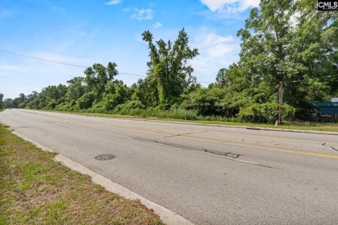 0 Charleston Highway Orangeburg SC 29115