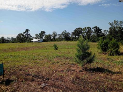 115 Mt. Calvary Road Trenton SC 29847