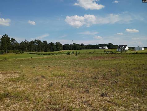 115 Mt. Calvary Road Trenton SC 29847
