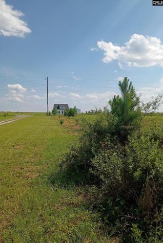 115 Mt. Calvary Road Trenton SC 29847