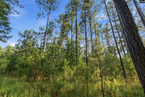 3390 Hunter Road Kershaw SC 29067