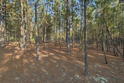 3390 Hunter Road Kershaw SC 29067