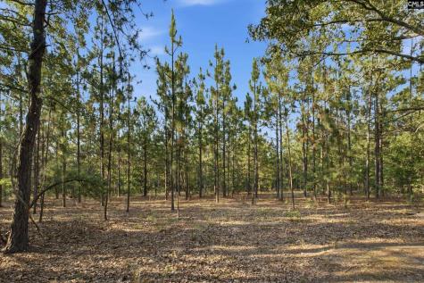 3390 Hunter Road Kershaw SC 29067