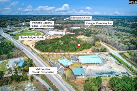 1013 N Wingard Road Irmo SC 29063