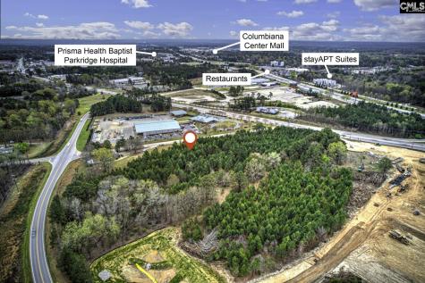 1013 N Wingard Road Irmo SC 29063