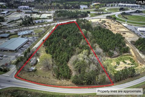 1013 N Wingard Road Irmo SC 29063