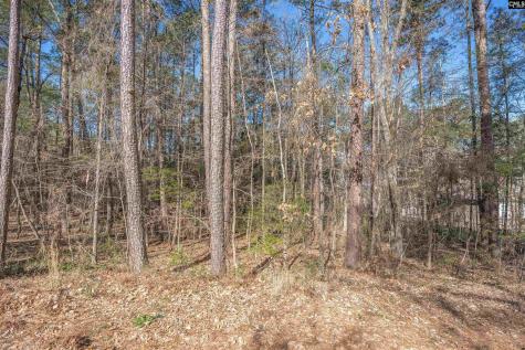 Tbd Sc Highway 215 Jenkinsville SC 29065