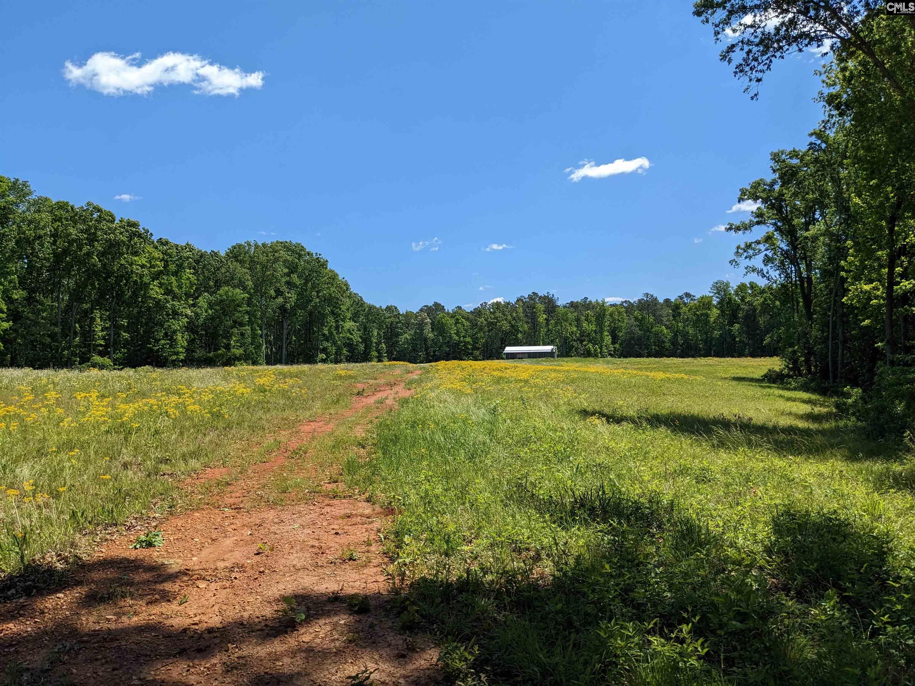 0 Minger Road Blythewood SC 29016