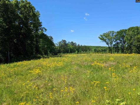 0 Minger Road Blythewood SC 29016