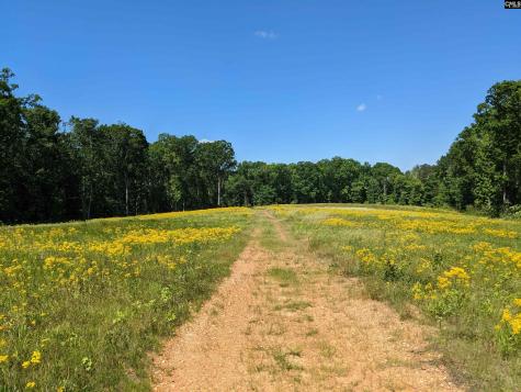 0 Minger Road Blythewood SC 29016