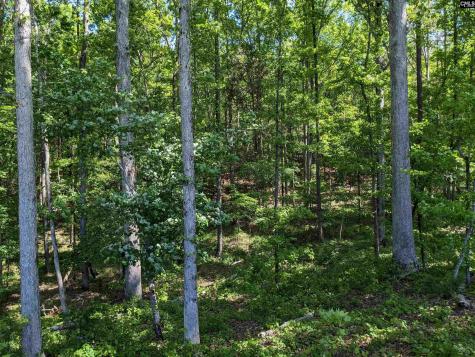 0 Minger Road Blythewood SC 29016