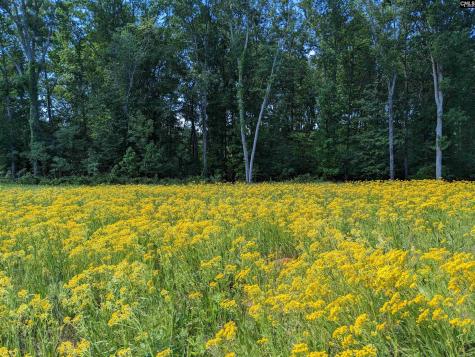 0 Minger Road Blythewood SC 29016