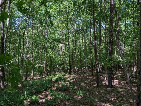 0 Minger Road Blythewood SC 29016