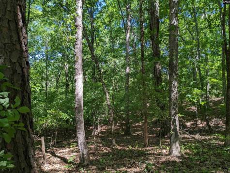 0 Minger Road Blythewood SC 29016