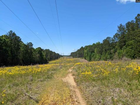 0 Minger Road Blythewood SC 29016