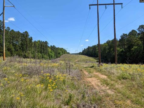 0 Minger Road Blythewood SC 29016