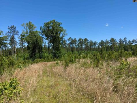0 Minger Road Blythewood SC 29016