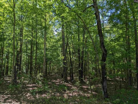 0 Minger Road Blythewood SC 29016