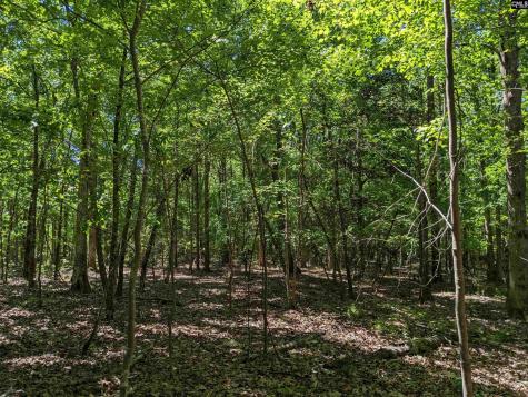 0 Minger Road Blythewood SC 29016