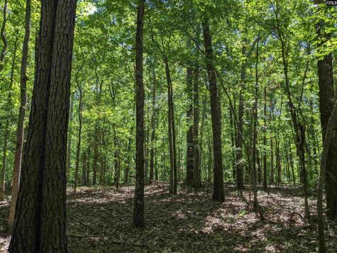 0 Minger Road Blythewood SC 29016