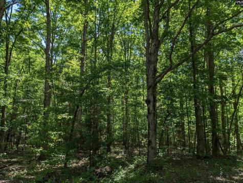 0 Minger Road Blythewood SC 29016