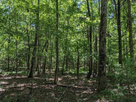 0 Minger Road Blythewood SC 29016
