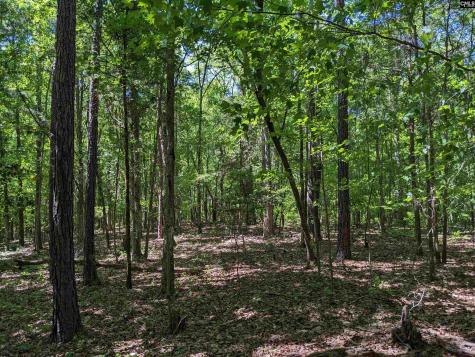 0 Minger Road Blythewood SC 29016