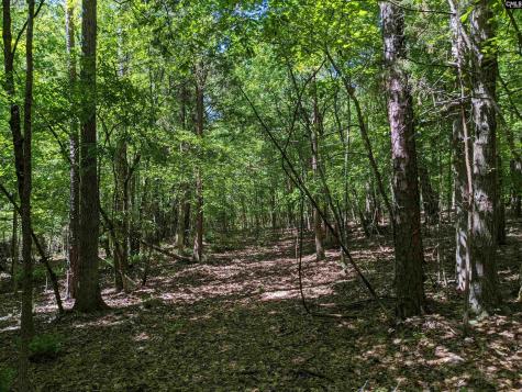 0 Minger Road Blythewood SC 29016