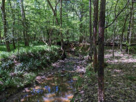0 Minger Road Blythewood SC 29016
