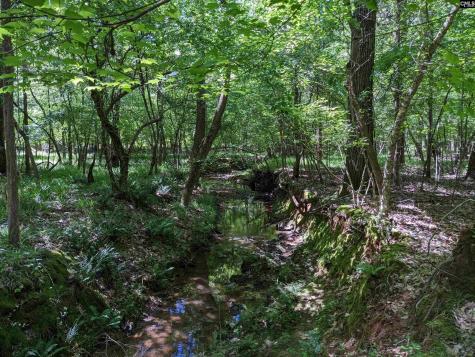 0 Minger Road Blythewood SC 29016