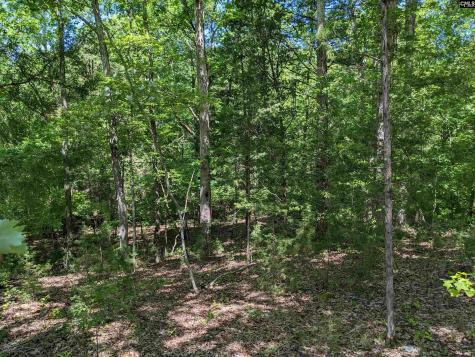 0 Minger Road Blythewood SC 29016