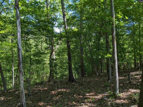 0 Minger Road Blythewood SC 29016