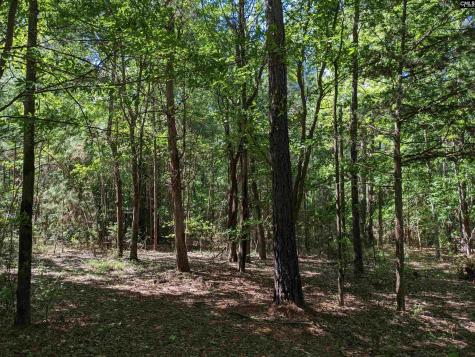 0 Minger Road Blythewood SC 29016