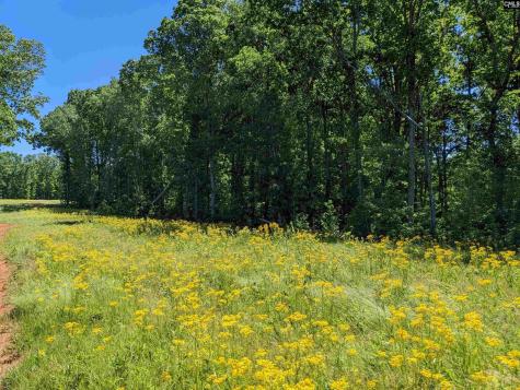 0 Minger Road Blythewood SC 29016