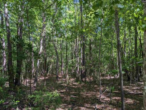 0 Minger Road Blythewood SC 29016