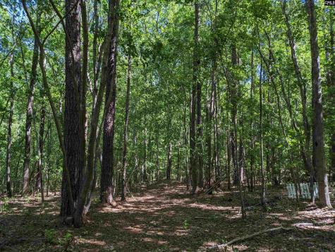 0 Minger Road Blythewood SC 29016